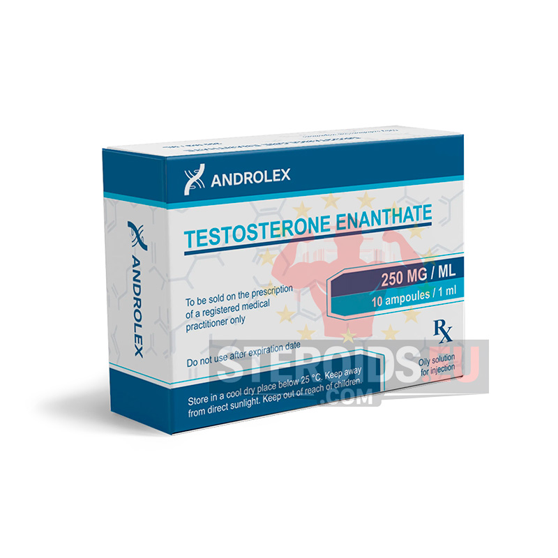 Testosterone Enanthate – Androlex | 1 ml - 10 Ampoules | 250 mg/ml